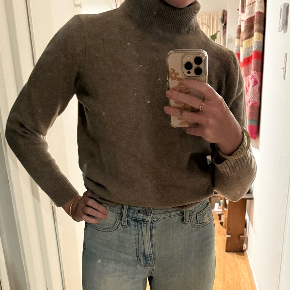 Beautiful Merino Wool Turtle Neck